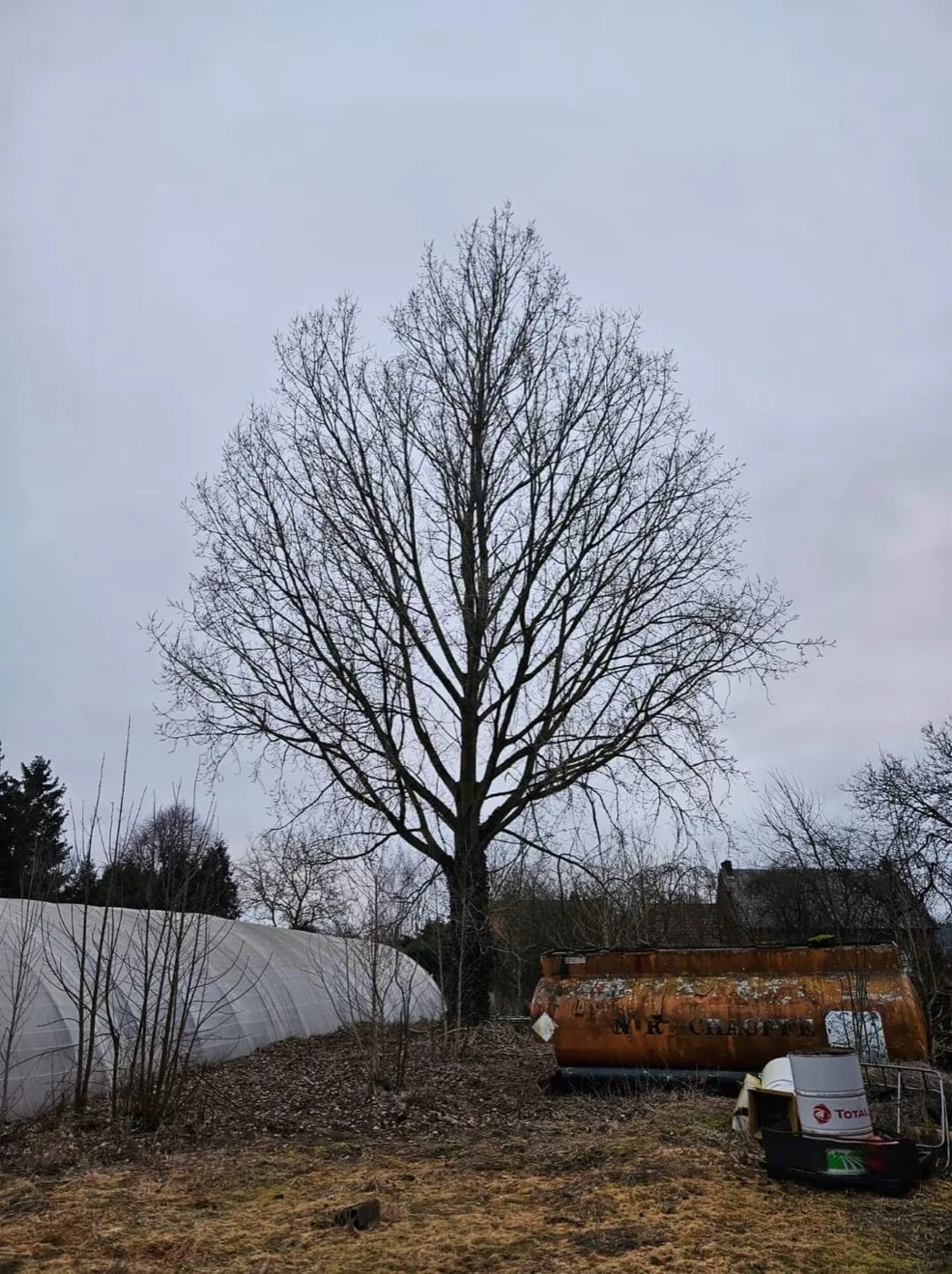 Arbor'Huon, paysagiste à Saint-Amand-les-Eaux