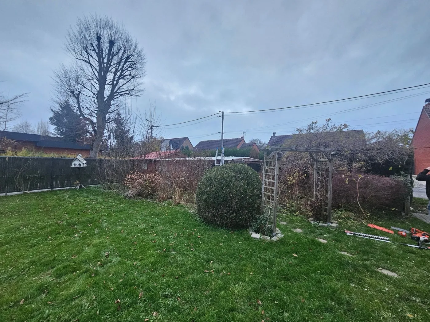 Élagage & abattage — Arbor'Huon Saint-Amand-les-Eaux